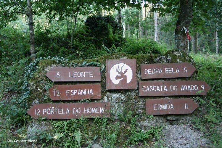 Casa Vilar Жереш Екстер'єр фото